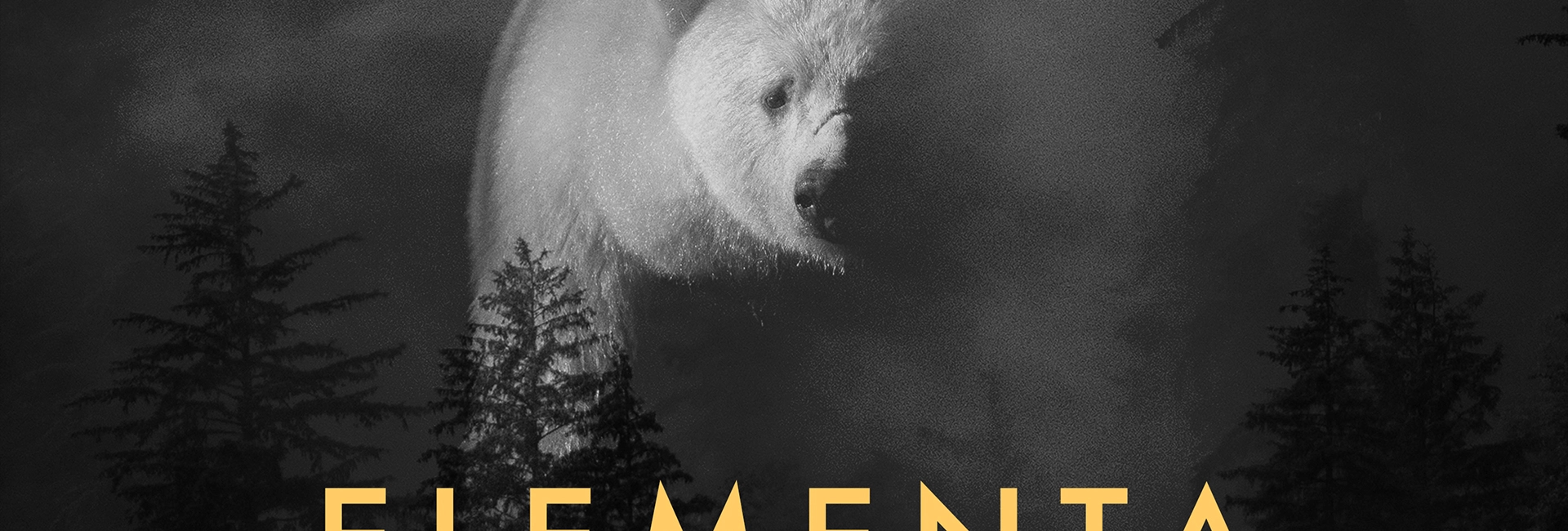 Elementa
