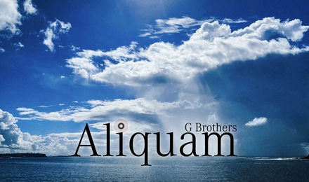 Aliquam: G Brothers