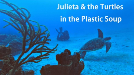 Julieta & The Turtles In The Plastic Soup (English Burn-In)