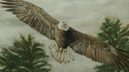 Paul Van Ginkel - Artist