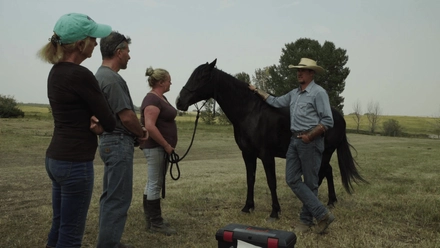 Equine Therapy - Cheyenne Conacher