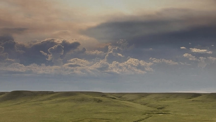 Prairie Glass - Julia Reimer and Tyler Rock