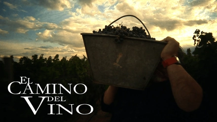 El Camino Del Vino (English Burn-In)