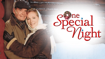 One Special Night