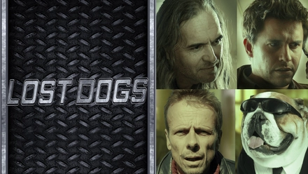 Lost Dogs