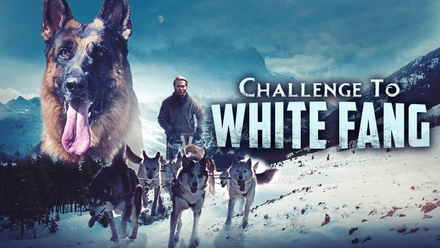 Challenge To White Fang