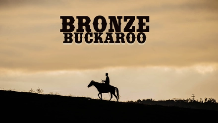 Bronze Buckaroo