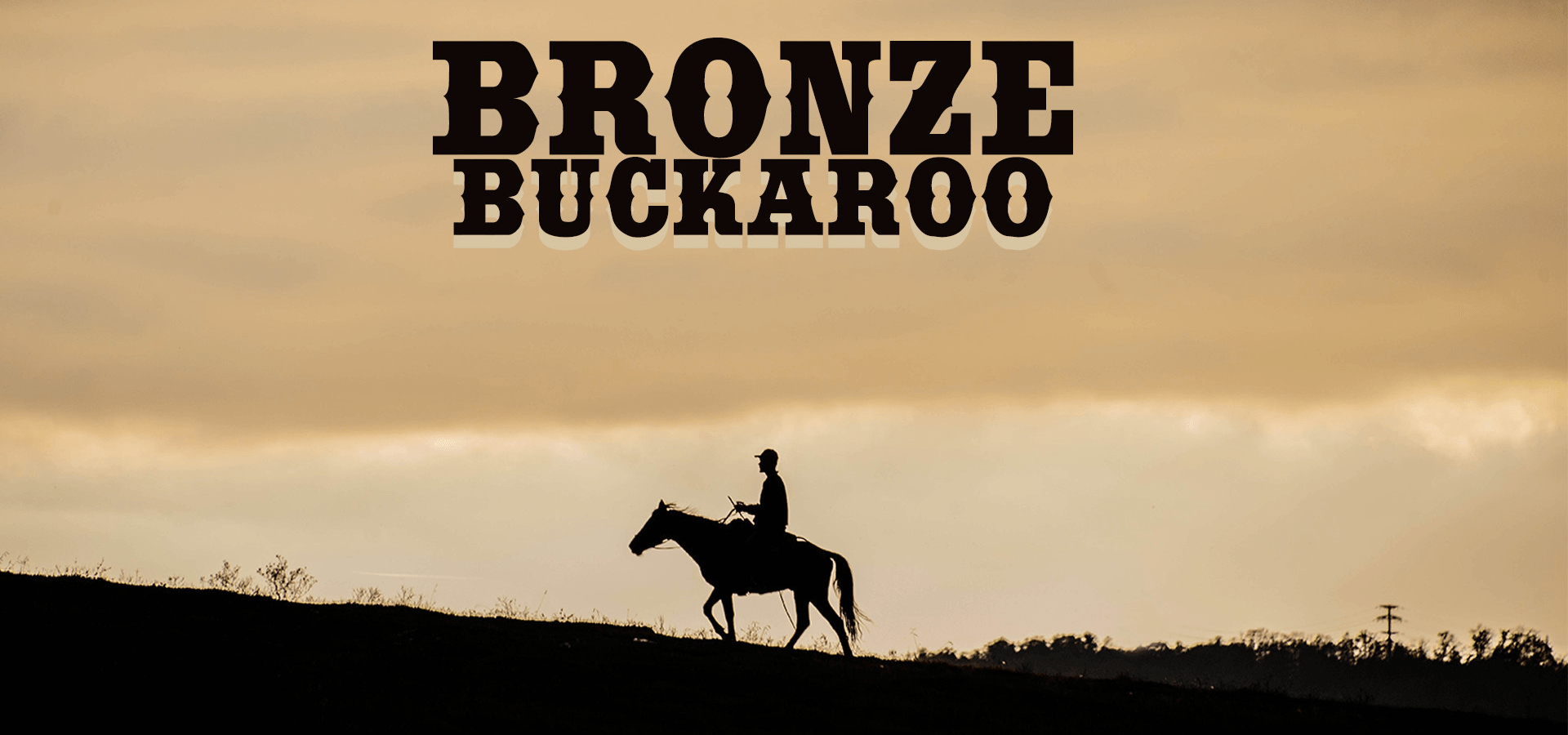 Bronze Buckaroo