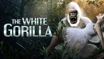 The White Gorilla