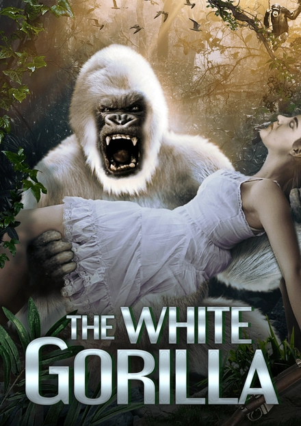 The White Gorilla