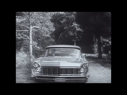 The Forests Of The Night