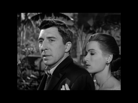 The Return Of Mitchell Campion