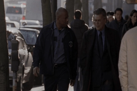 The Dogs in Sympathy with The Cats