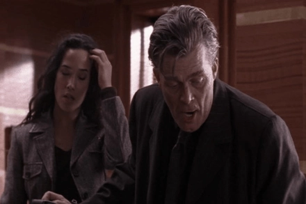 Cat in a Tree, Lunatic in the Street