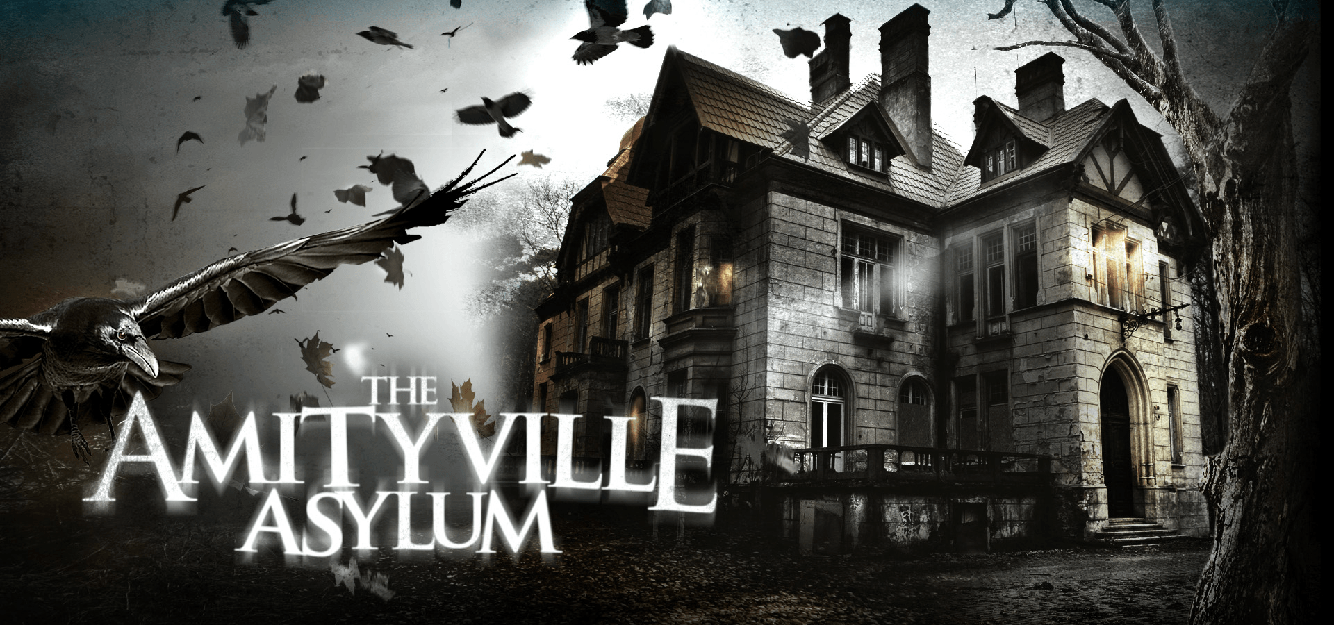 The Amityville Asylum