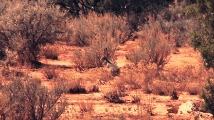 South Rim To Colorado City