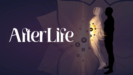 Afterlife