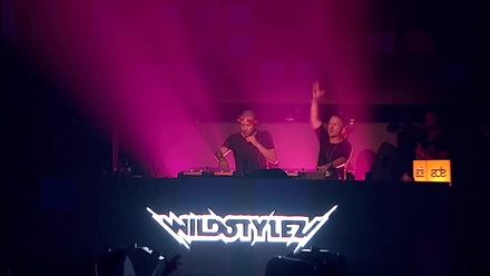 Wildstylez
