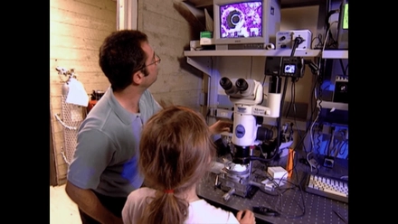 Animal Inspired Innovations