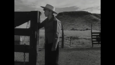 Swedes & Cowboys In America