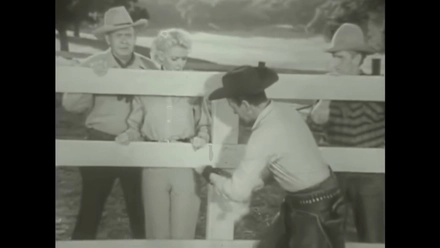 Henry And The Psychopathic Horse