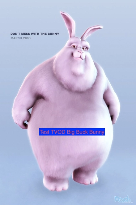 Test ICOD Big Buck Bunny